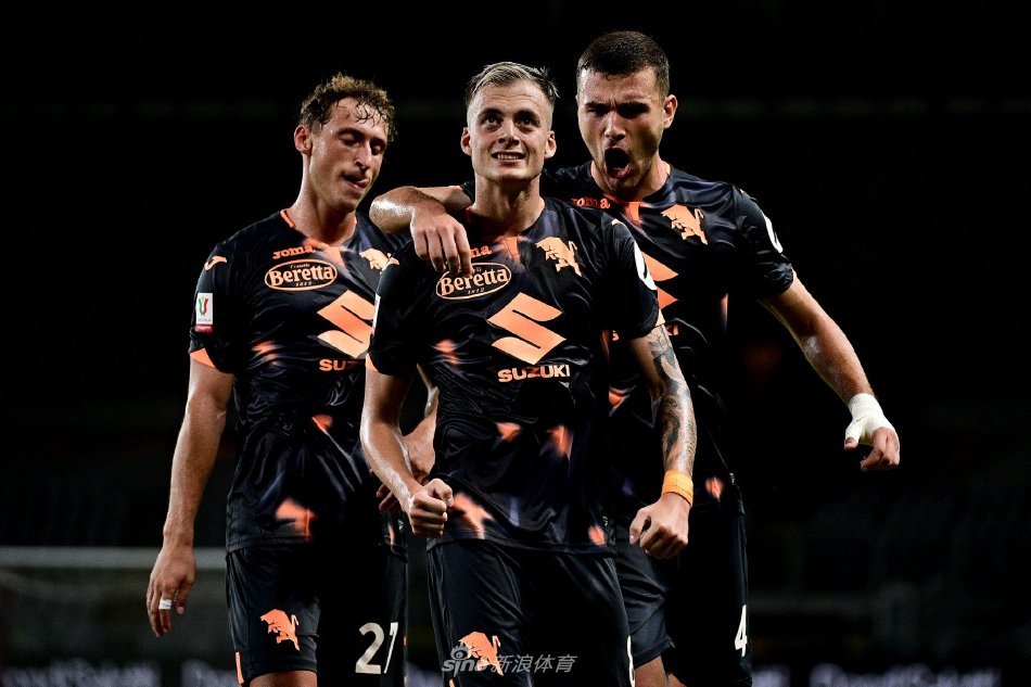 意大利后防 意大利后防